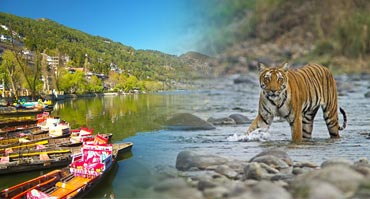 assets/images/tours/nainital-jim-corbett-tour.jpg